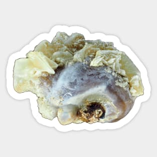 Small common human kidney stone Sticker